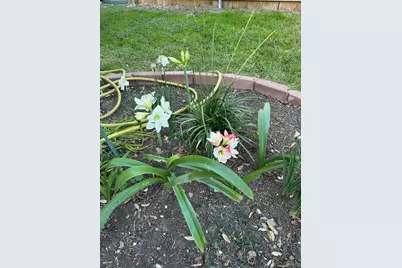 165 Birnamwood Drive, Burnsville, MN 55337 - Photo 34