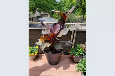 165 Birnamwood Drive, Burnsville, MN 55337 - Photo 38