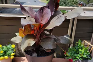 165 Birnamwood Dr, Burnsville, MN 55337 - Photo 38