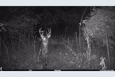 Tbd County Road 17, Winona, MN 55987 - Photo 18