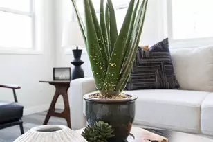 417 Elk St, Duluth, MN 55803 - Photo 12