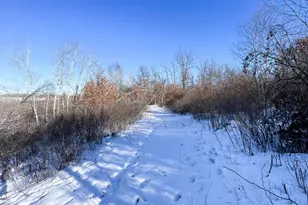 1559 Stone Lake Rd SW, Bemidji, MN 56601 - Photo 72