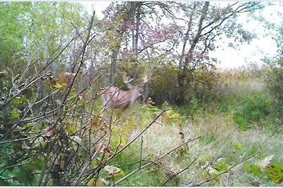 1559 Stone Lake Road SW, Bemidji, MN 56601 - Photo 106