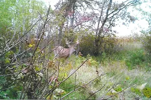 1559 Stone Lake Rd SW, Bemidji, MN 56601 - Photo 106