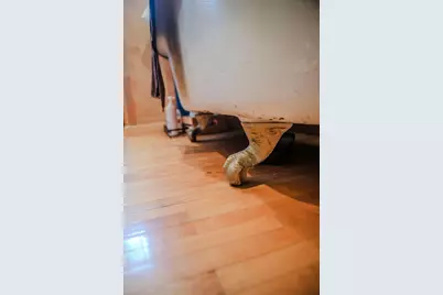 210 E 6th Street, Morris, MN 56267 - Photo 46