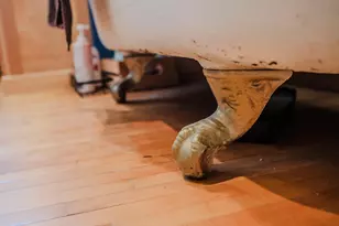 210 E 6th St, Morris, MN 56267 - Photo 46