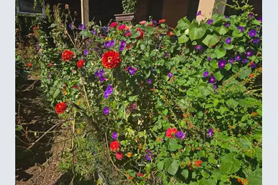 4541 Harriet Avenue, Minneapolis, MN 55419 - Photo 30