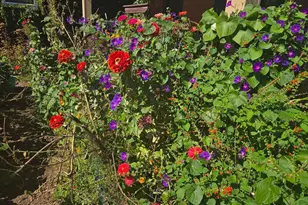 4541 Harriet Ave, Minneapolis, MN 55419 - Photo 30