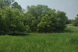 Lot 7 Block 2 Crystal Beach Rd, Pelican Rapids, MN 56572 - Photo 1