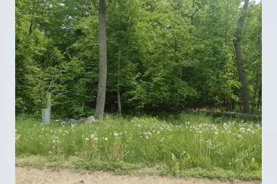 Lot 2 Block 3 Crystal Beach Road, Pelican Rapids, MN 56572 - Photo 2