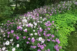 2335 2nd Ave SW, Rochester, MN 55902 - Photo 44