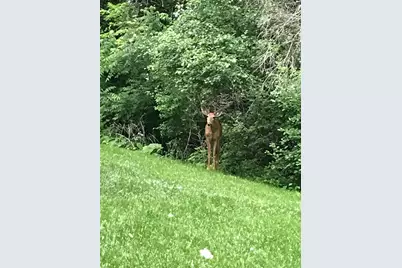 2335 2nd Avenue SW, Rochester, MN 55902 - Photo 42