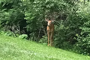 2335 2nd Ave SW, Rochester, MN 55902 - Photo 42