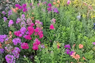 2486 75th Ave, Osceola, WI 54020 - Photo 32