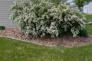 232 Main St, Breckenridge, MN 56520 - Photo 20