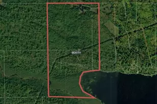 8442 Hwy 24, Cook, MN 55723 - Photo 60