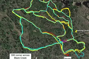 8442 Hwy 24, Cook, MN 55723 - Photo 52