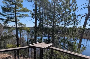 8442 Hwy 24, Cook, MN 55723 - Photo 4