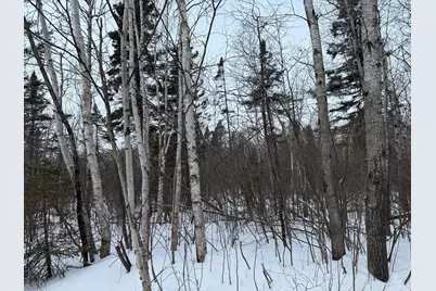 Xxx Zekes Road, Schroeder Township, MN 55613 - Photo 8