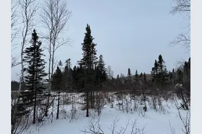 Xxx Zekes Road, Schroeder Township, MN 55613 - Photo 12