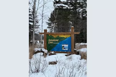 Xxx Zekes Road, Schroeder Township, MN 55613 - Photo 38