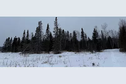 Xxx Zekes Road, Schroeder Township, MN 55613 - Photo 28