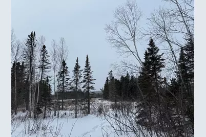 Xxx Zekes Road, Schroeder Township, MN 55613 - Photo 18