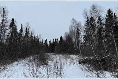 Xxx Zekes Road, Schroeder Township, MN 55613 - Photo 20