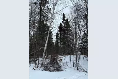 Xxx Zekes Road, Schroeder Township, MN 55613 - Photo 10