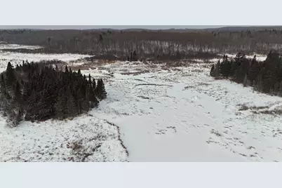 Xxx Zekes Road, Schroeder Township, MN 55613 - Photo 34