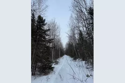 Xxx Zekes Road, Schroeder Township, MN 55613 - Photo 14