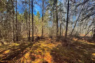 846Xx Lenawee Rd, Herbster, WI 54844 - Photo 12