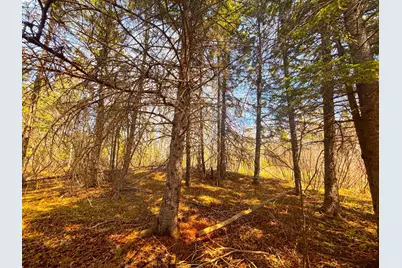 846Xx Lenawee Road, Herbster, WI 54844 - Photo 6