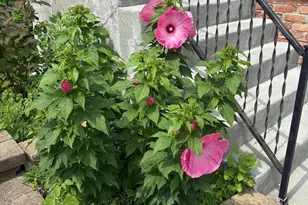 16826 Excelsior Blvd, Minnetonka, MN 55345 - Photo 2