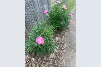 3525 Yukon Avenue S, Saint Louis Park, MN 55426 - Photo 6