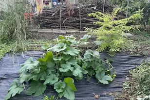 3525 Yukon Ave S, Saint Louis Park, MN 55426 - Photo 32