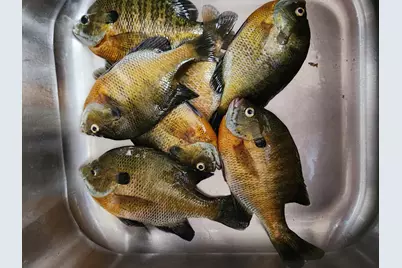 17570 Vergus Avenue, Jordan, MN 55352 - Photo 56