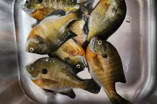 17570 Vergus Ave, Jordan, MN 55352 - Photo 56