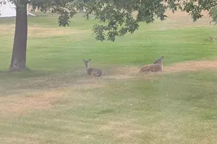 30835 141st St NW, Princeton, MN 55371 - Photo 22