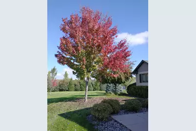 30835 141st Street NW, Princeton, MN 55371 - Photo 82