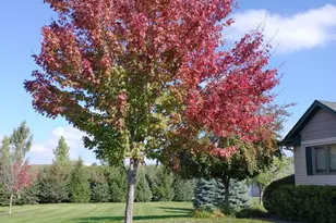 30835 141st St NW, Princeton, MN 55371 - Photo 16