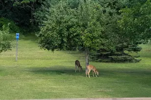 30835 141st St NW, Princeton, MN 55371 - Photo 86