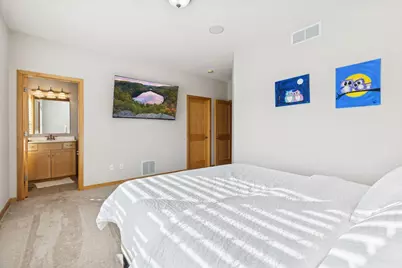 336 Spring Street, Saint Paul, MN 55102 - Photo 38