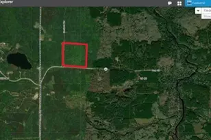 Tbd Mud Hole Rd, Side Lake, MN 55781 - Photo 1