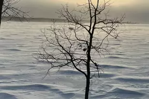 23759 Clarissa Haven Dr, Henning, MN 56551 - Photo 68