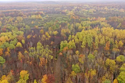 16Xxx W County Road O, Weyerhaeuser, WI 54895 - Photo 24