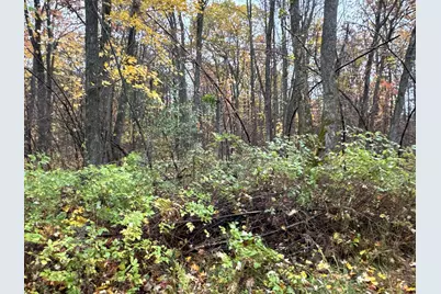 16Xxx W County Road O, Weyerhaeuser, WI 54895 - Photo 16