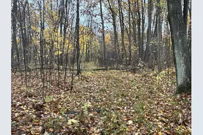 16Xxx W County Road O, Weyerhaeuser, WI 54895 - Photo 20