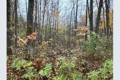 16Xxx W County Road O, Weyerhaeuser, WI 54895 - Photo 14