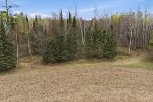 12502 Van Horn Rd, Floodwood, MN 55736 - Photo 72
